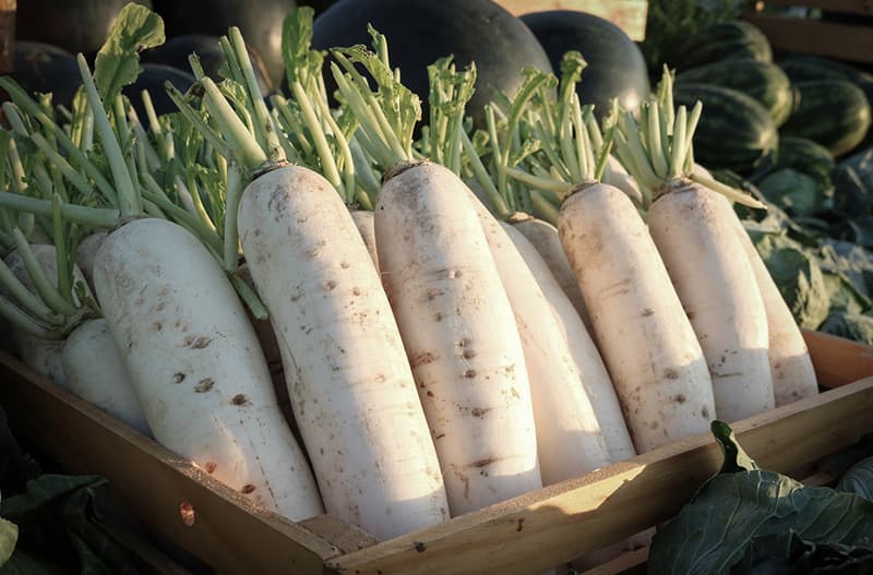 images/1663659604754radish sorter.jpg